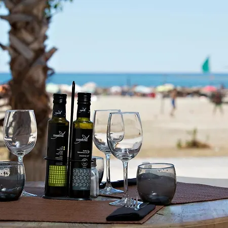Gladiols * Cambrils